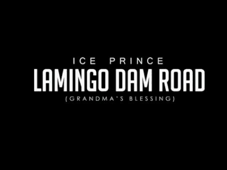 VIDEO | Ice Prince – Jos Vlogs