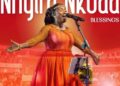 DOWNLOAD Diana Hamilton – Nhyira Nkoaa (Blessings Only) mp3