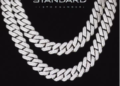 DOWNLOAD Shatta Wale – Standard mp3