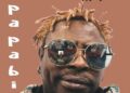 DOWNLOAD Nii Amaah – Papabi mp3
