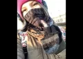 Rina Palenkova Train Video Death, Suicide, Age, Accident Blue Whale Challange