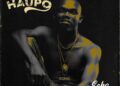 DOWNLOAD ECHO 254 – HAUPO mp3