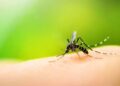 How to get rid of mosquito bites while sleeping