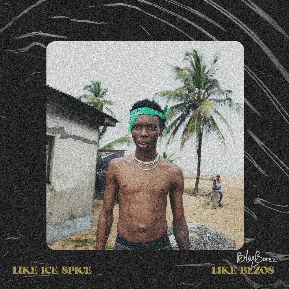 DOWNLOAD Blaqbonez – Like Ice Spice mp3