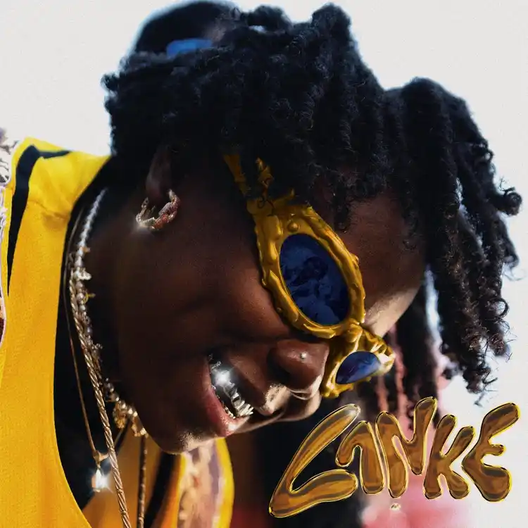 DOWNLOAD Teni – Lanke mp3