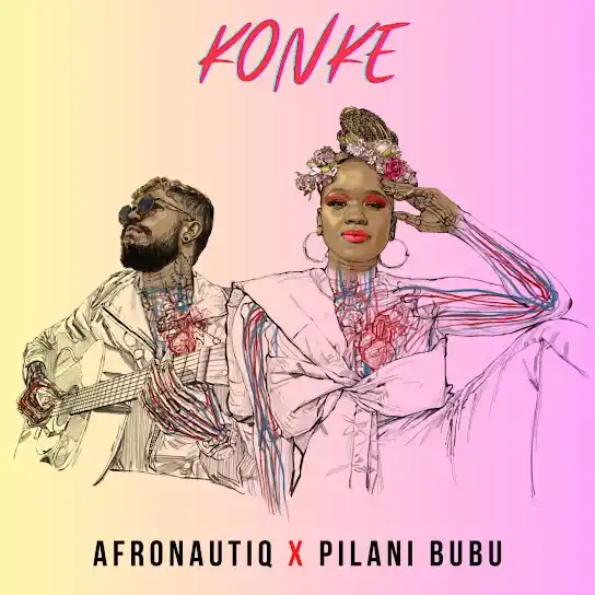 DOWNLOAD Pilani Bubu – Gratitude ft. AfroNautiq mp3
