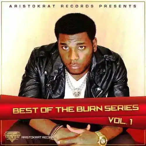 DOWNLOAD Burna Boy – Firewood mp3