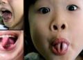 What is Trixie Tongue Tricks?