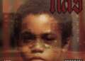 Nas Albums Ranked
