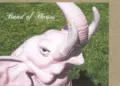 Band of Horses’ “Is There a Ghost” Meaning