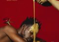 DOWNLOAD Mr Eazi – We Dey mp3