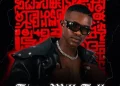 DOWNLOAD Pushkin & Springle – Mbali ft. Sonini, Amaqhawe, T&T MuziQ & TorQue Muziq mp3