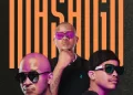 DOWNLOAD ALBUM: Efkay Da Shiqwan ft Dvine Brothers – Mashigo (Remixes)