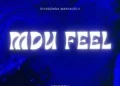 DOWNLOAD Siyabonga Makhavelii & YeigoDJ – MDU FEEL mp3