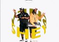DOWNLOAD DopeNation – Shey mp3