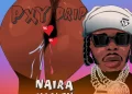 DOWNLOAD Naira Marley – I’m Back mp3