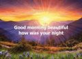 DOWNLOAD Steve Holy – Good Morning Beautiful mp3