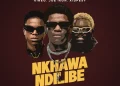 DOWNLOAD Kineo Ft. Joe Ikon, Aidfest – Nkhawa Ndilibe mp3