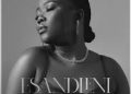 DOWNLOAD Hlengiwe Mhlaba – Esandleni Somusa mp3