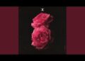 DOWNLOAD Evan Ford – Anywhere mp3