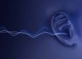 Whip Sound Effect (mp3 Download)