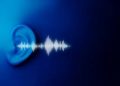 Ballerina Cappuccina Sound Effect (mp3 Download)