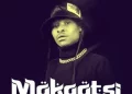 DOWNLOAD ANUZA SA – MOKGOTSI Ft LEON LEE, SEVEN STEP & FRIIGO HITS mp3