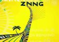 DOWNLOAD AfroNerd – Zindlondio ft. Lizwi mp3