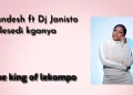 DOWNLOAD Shandesh – Lesedi Kganya mp3