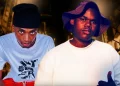 DOWNLOAD Mu MuziQal – Sample Pitori ft. Slxcebeats, Matao mp3