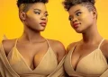 DOWNLOAD Qwabe Twins (Q Twins) – Inhliziyo Ayifuni Ngaye mp3