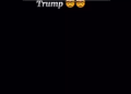 DOWNLOAD Smur Lee – Trump mp3
