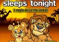 Vittorio Fraja - The Lion Sleeps Tonight