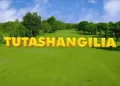 THE VOICE – TUTASHANGILIA ft. PAUL CLEMENT