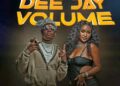 DOWNLOAD Temwah – Deejay Volume Ft Driemo mp3
